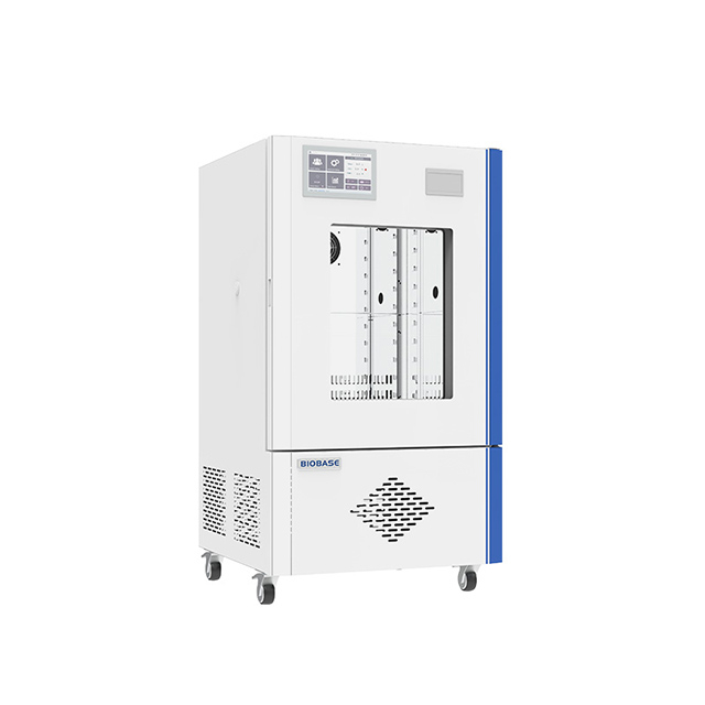 Inkubator mit konstanter Temperatur und Luftfeuchtigkeit (BJPX-HTB)