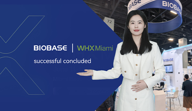 In Miami scheinen! WHX Miami 2025 endet erfolgreich!