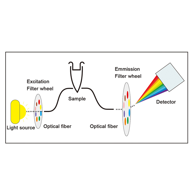 Fluoreszierendes quantitatives PCR-Nachweissystem