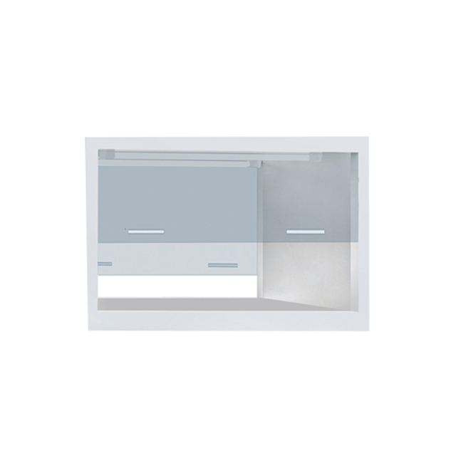 Doppelseitiger vertikaler Laminar-Flow-Schrank BBS-DSC BBS-SSC