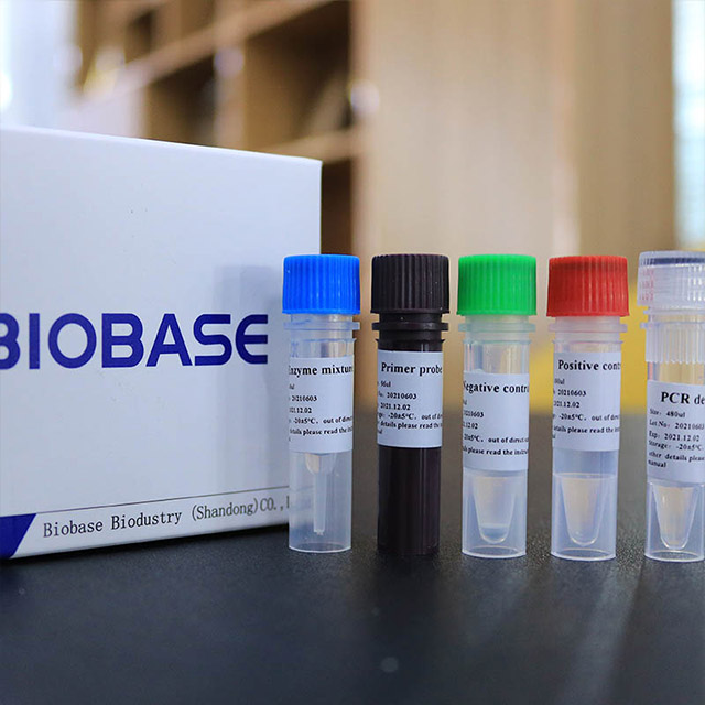 Neuartiges Coronavirus (2019-nCoV) Nukleinsäure-Nachweiskit (Fluoreszenz-PCR)