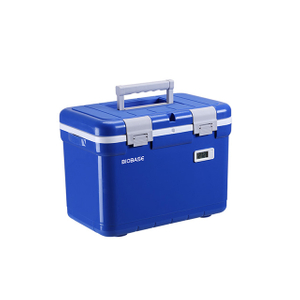 Tragbarer Kühlschrank 12L