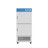 Mehrkammer-Konstanttemperatur-Inkubator BJPX-H150-2C BJPX-H100-4C