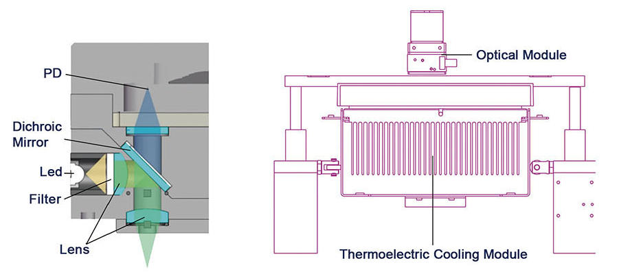 Fluoreszierendes quantitatives Detektionssystem01 
